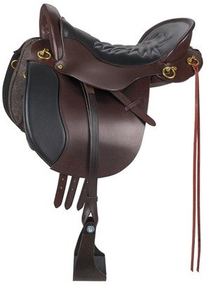 TuckerEquitationEndurance